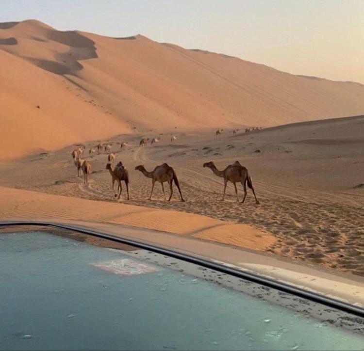 Bidiyah Old Bedouin Wahaiba Desert New Camp Campsite *