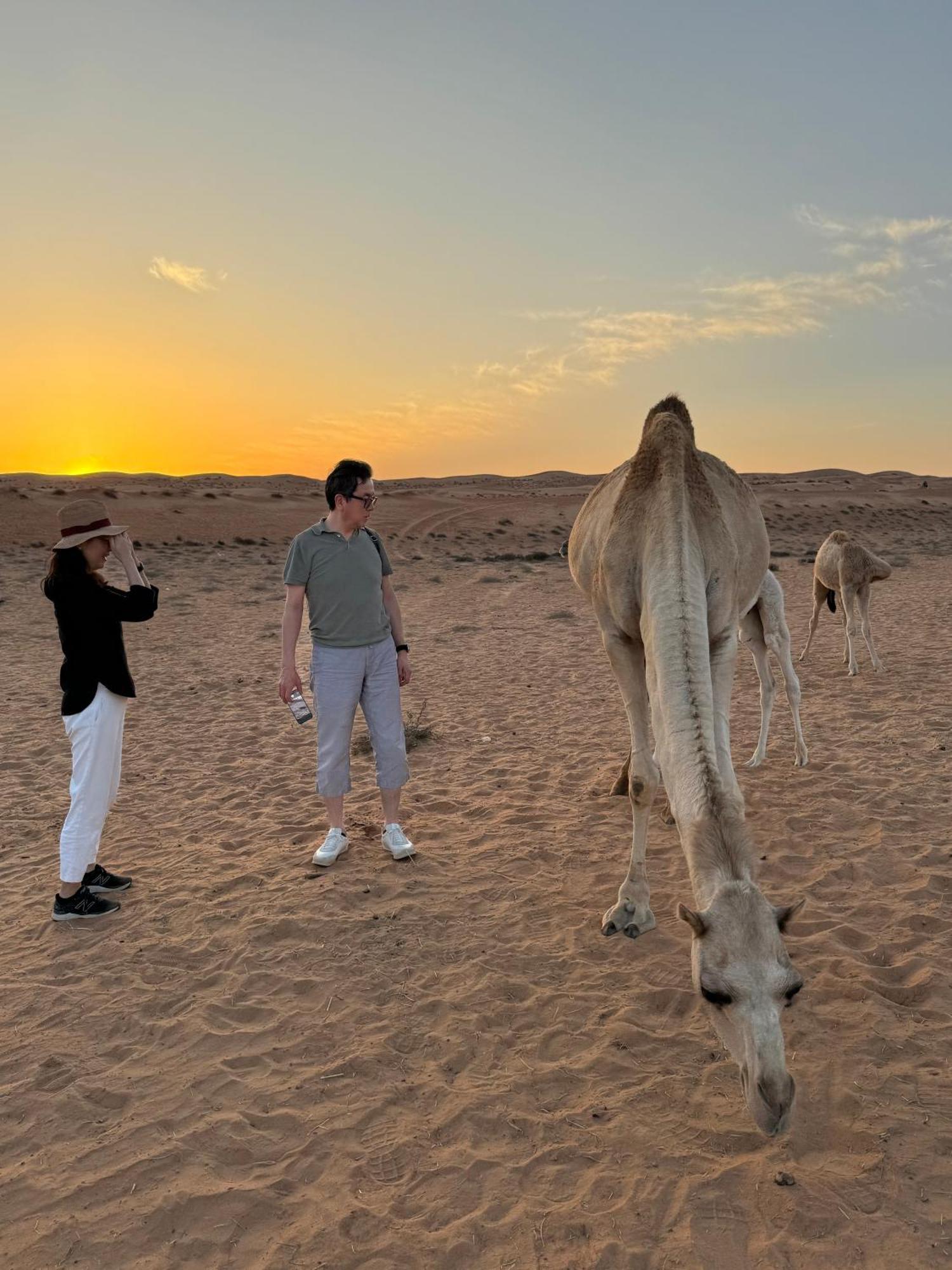 Campeggio Bidiyah Old Bedouin Wahaiba Desert New Camp *